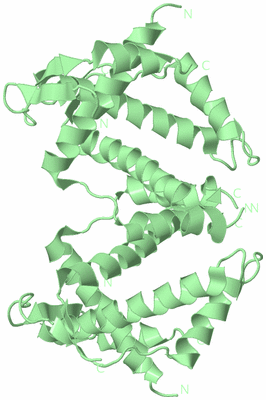 Image Biological Unit 9