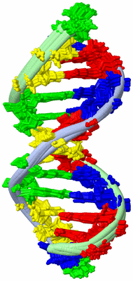 Image NMR Structure - all models