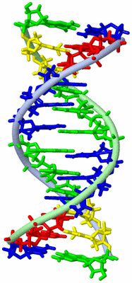 Image NMR Structure - model 1