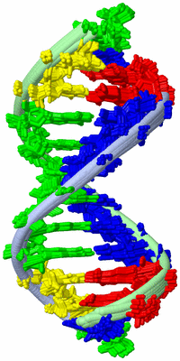 Image NMR Structure - all models