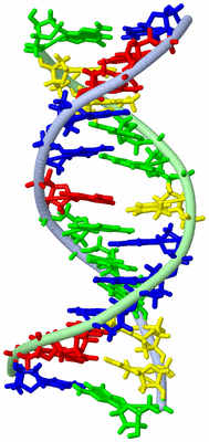 Image NMR Structure - model 1