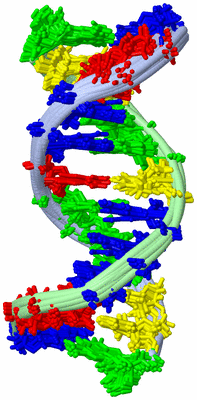 Image NMR Structure - all models