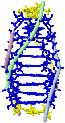 Image NMR Structure - model 1