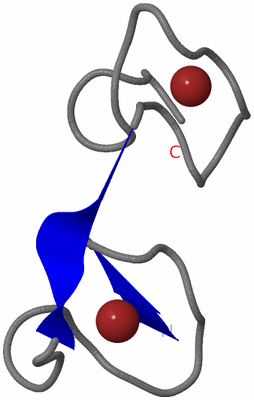 Image NMR Structure - model 1