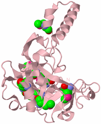 Image Biological Unit 3