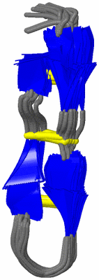 Image NMR Structure - all models