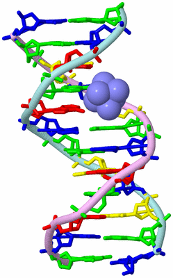 Image Biological Unit 3