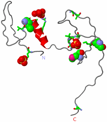 Image Asym. Unit - sites