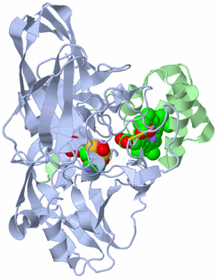 Image Asym./Biol. Unit