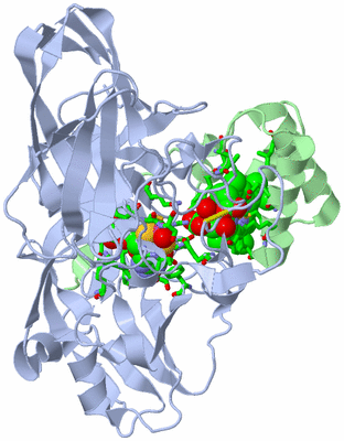 Image Asym./Biol. Unit - sites