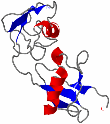 Image Theoretical Model