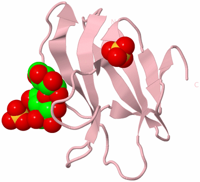 Image Biological Unit 3