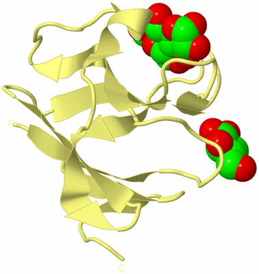 Image Biological Unit 4