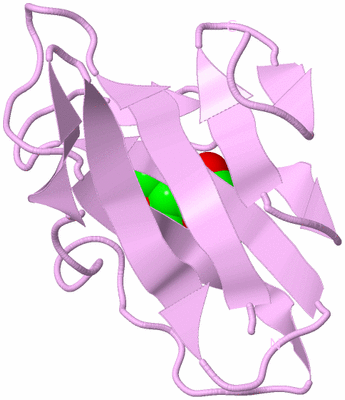 Image Biological Unit 5