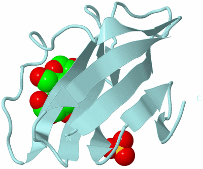 Image Biological Unit 6