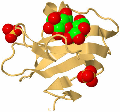 Image Biological Unit 7