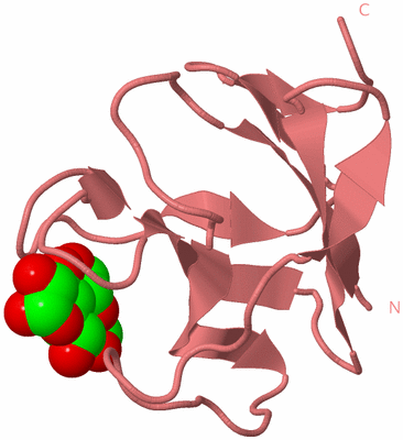 Image Biological Unit 8