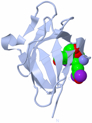 Image Biological Unit 1