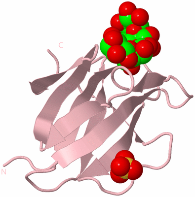 Image Biological Unit 3