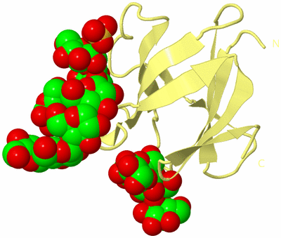 Image Biological Unit 4