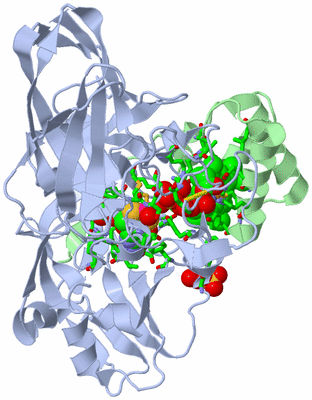 Image Asym./Biol. Unit - sites