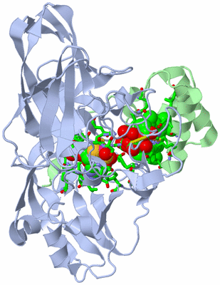 Image Asym./Biol. Unit - sites