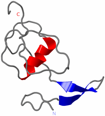 Image Theoretical Model