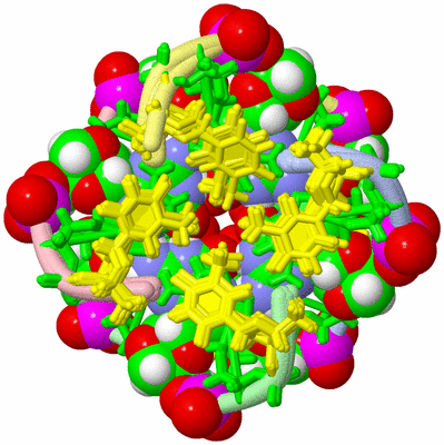 Image NMR Structure - all models