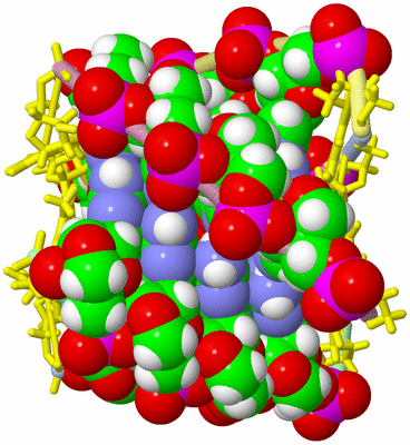 Image NMR Structure - model 1