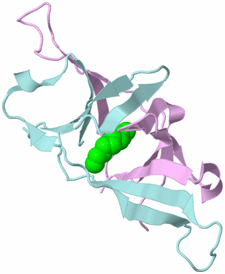 Image Biological Unit 3