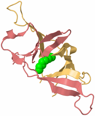 Image Biological Unit 4