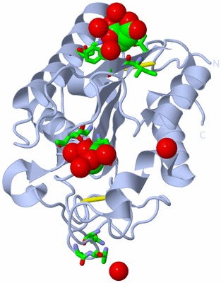 Image Biol. Unit 1 - sites