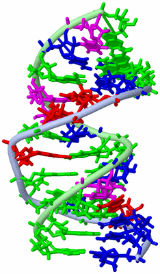 Image NMR Structure - model 1