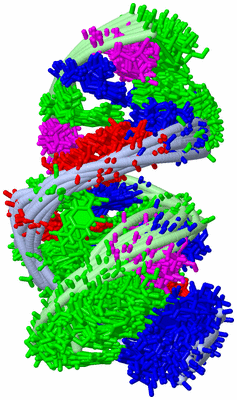 Image NMR Structure - all models