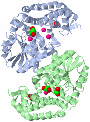 Image Asym./Biol. Unit