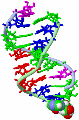 Image NMR Structure - model 1