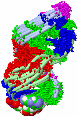 Image NMR Structure - all models