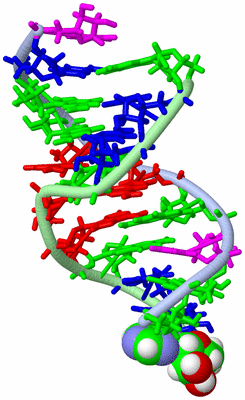 Image NMR Structure - model 1