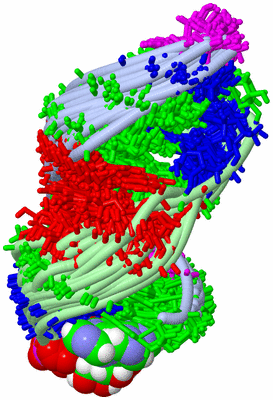 Image NMR Structure - all models