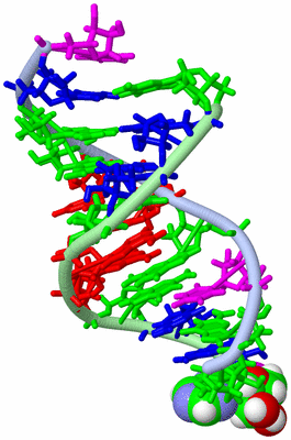 Image NMR Structure - model 1