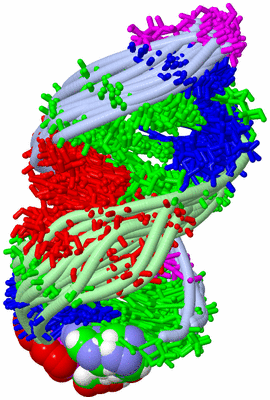 Image NMR Structure - all models