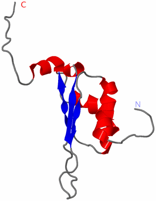 Image NMR Structure - model 1