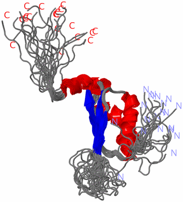 Image NMR Structure - all models