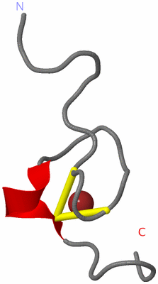 Image NMR Structure - model 1