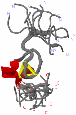 Image NMR Structure - all models