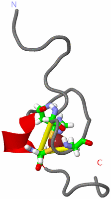 Image NMR Structure - model 1, sites