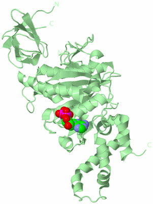 Image Biological Unit 2