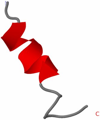 Image NMR Structure - model 1