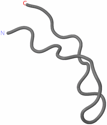 Image NMR Structure - model 1