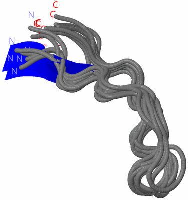 Image NMR Structure - all models